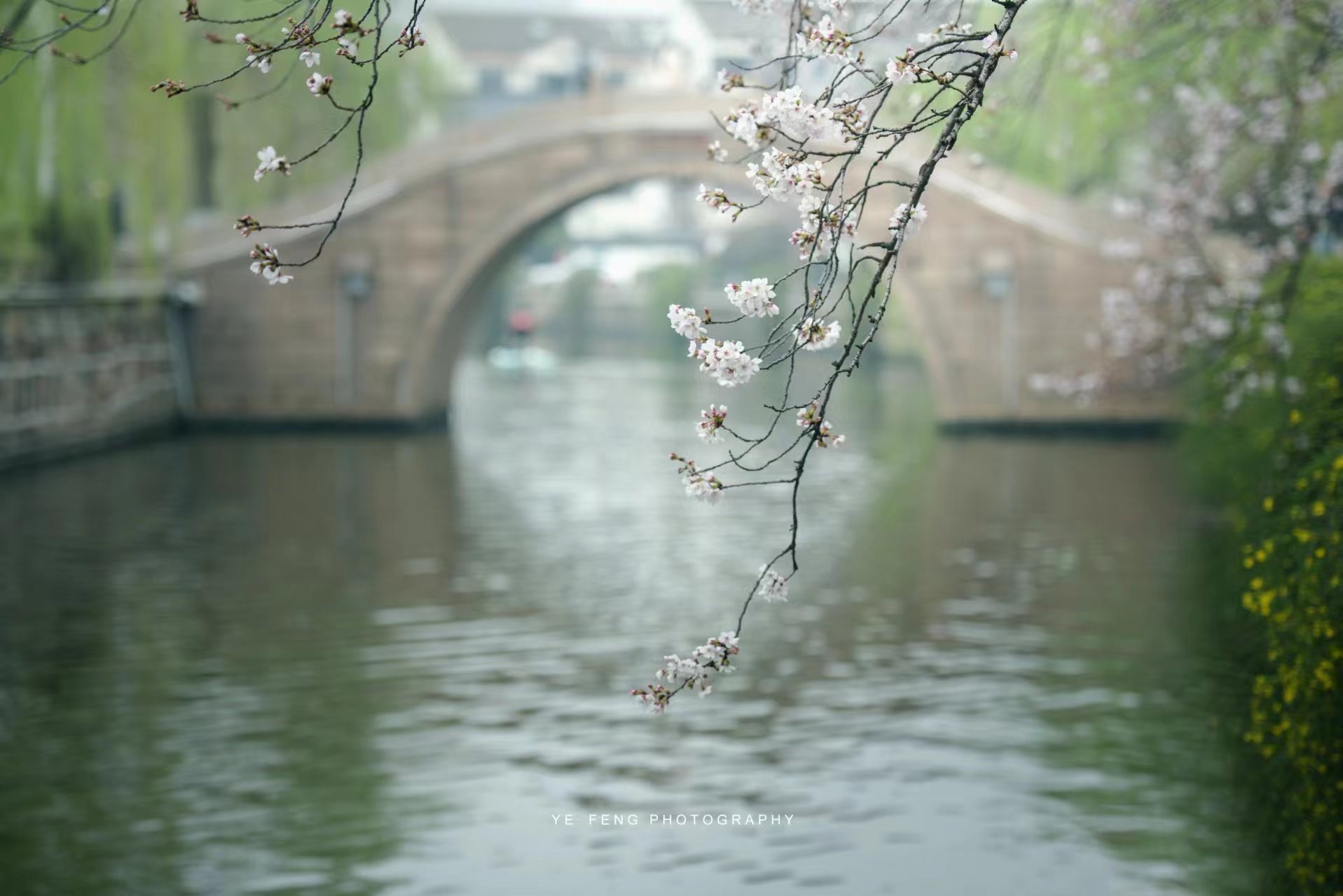 A Chinese bridge 