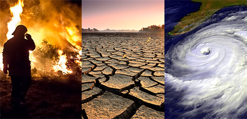 Topic: Climate Impacts