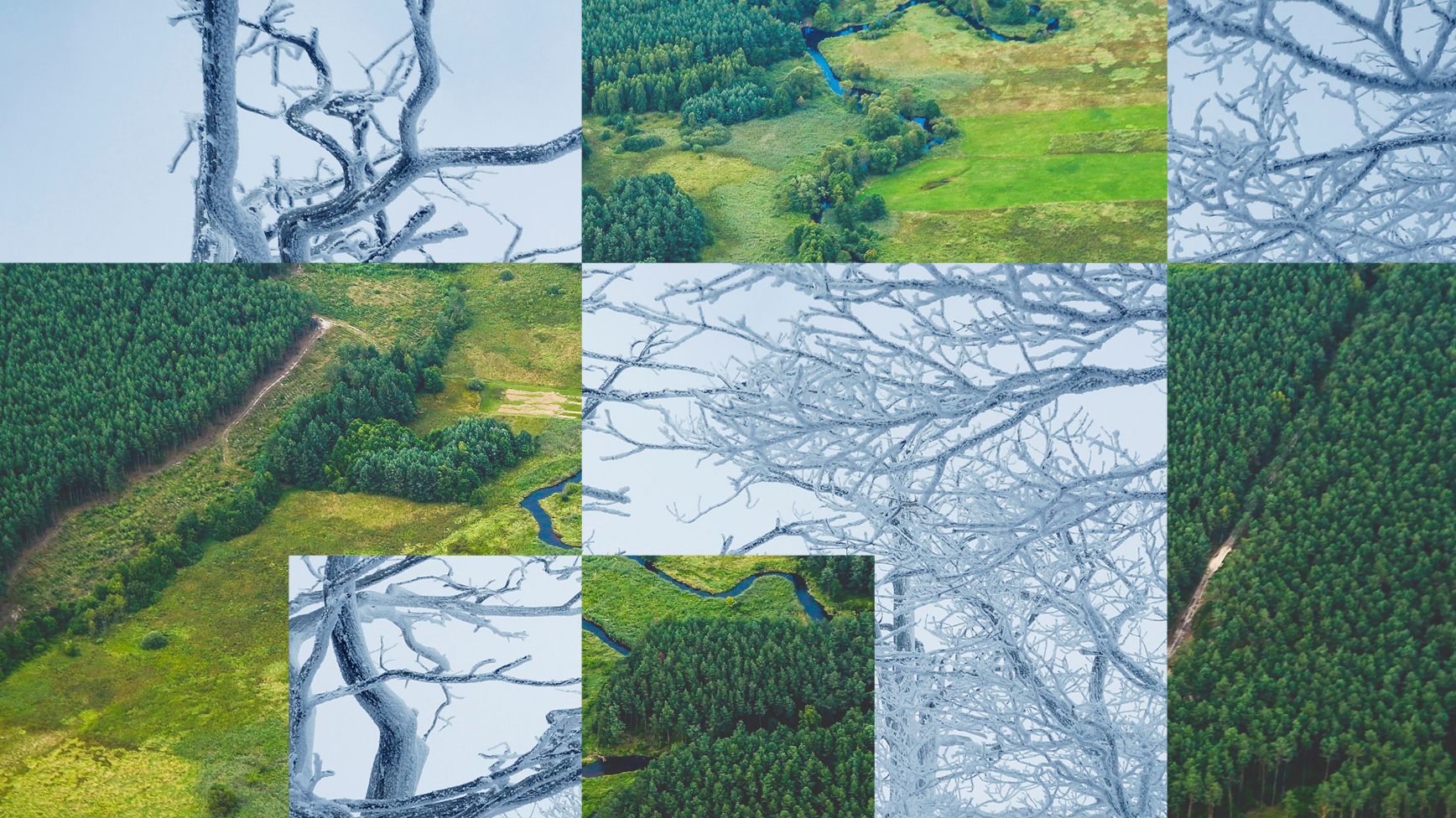 Mosaic of trees and water rich landscapes
