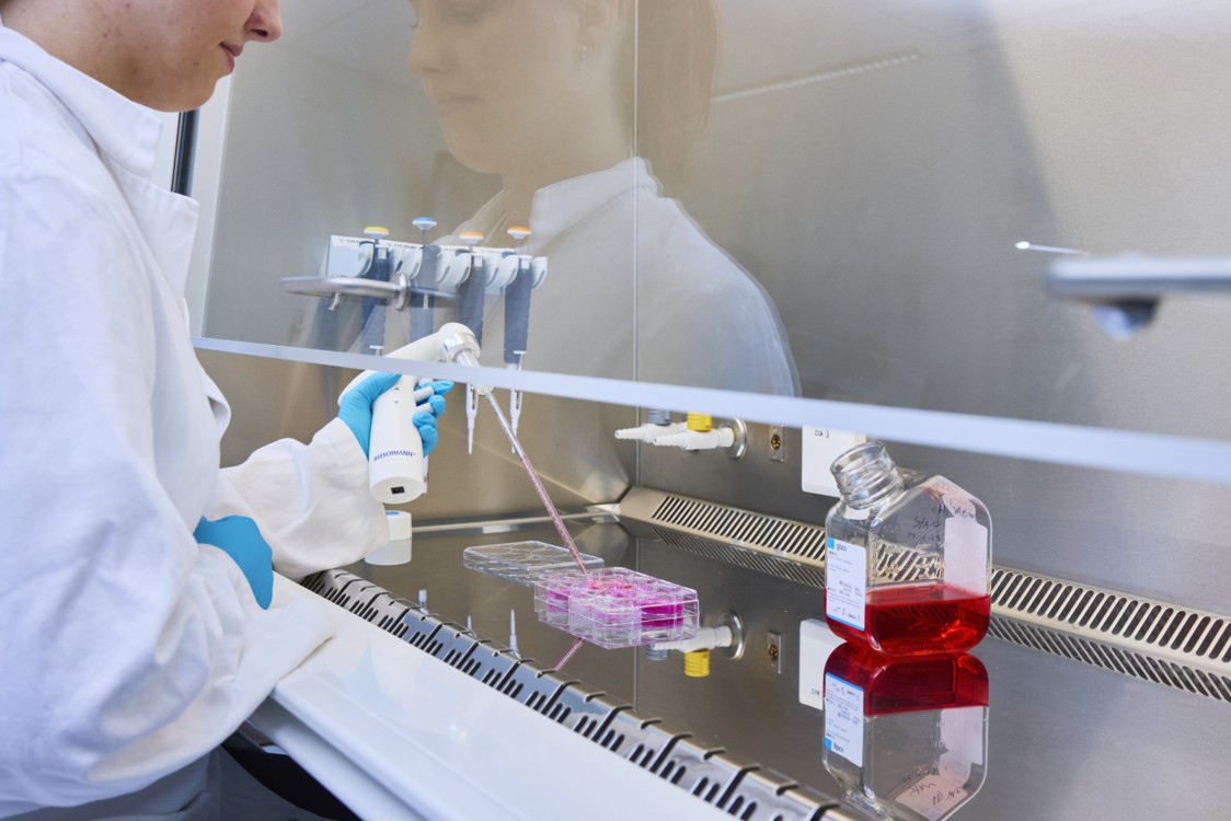animal free cell culture techniques