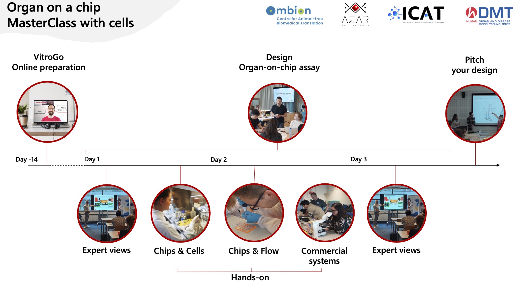 Organ-on-chip MasterClass overview