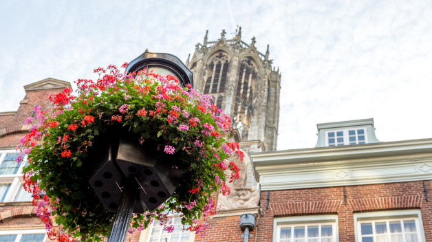 Picture flowerpot with Domtower in the background.